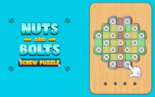 Nuts And Bolts Screw Puzzle